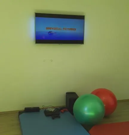 Parun Šajini